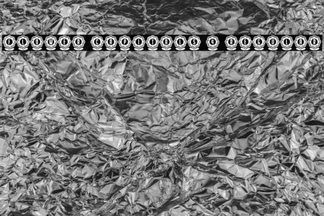 Flower Capitals 4 Regular Font examples