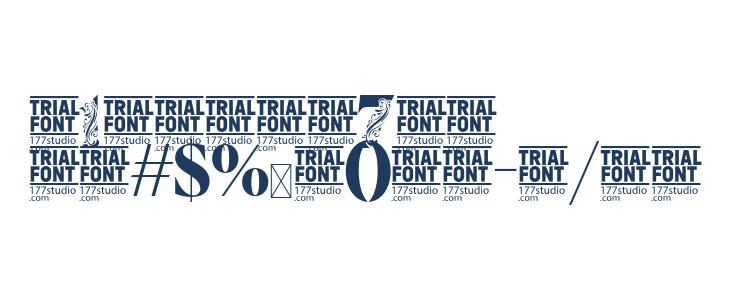 Flower Display Demo Regular Other Characters