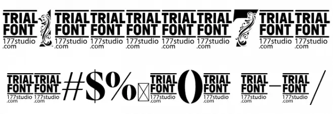 Flower Display Demo Regular Font OTHER CHARS