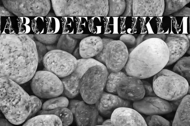 Flower Display Demo Regular Font examples