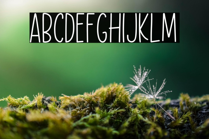 Flower Dream Bold Example 3