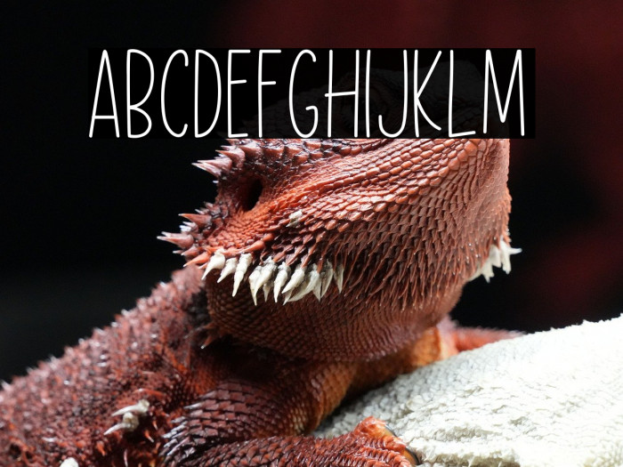 Flower Dream Example 1