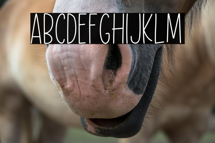 Flower Dream Example 2