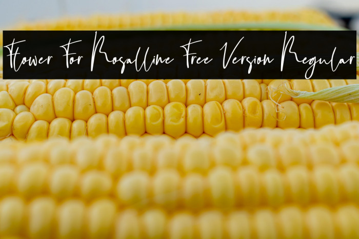 Flower For Rosalline Free Version Regular Example 3