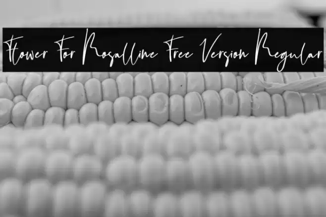 Flower For Rosalline Free Version Regular Caratteri examples