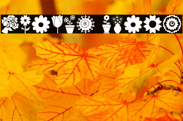 Flower Icons Example 1