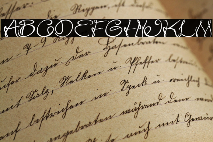 Flower In The Window Italic Example 3