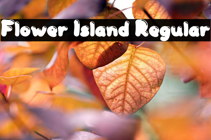 Flower Island Regular Example 1