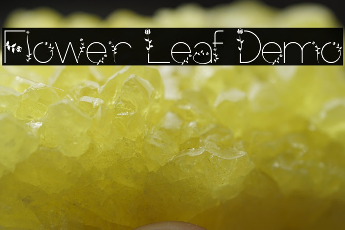 Flower Leaf Demo Example 3