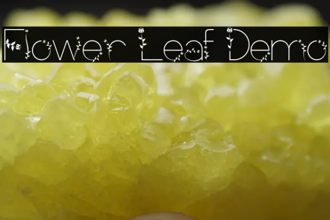 Flower Leaf Demo Example 3