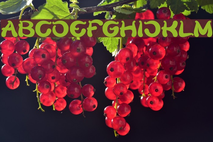 Flower Lover Bold Font examples