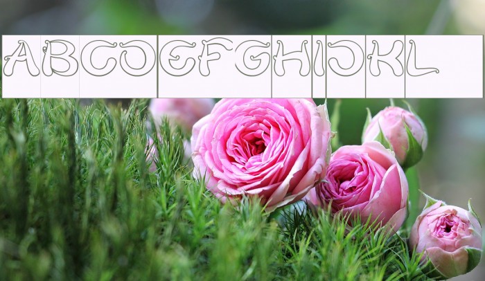 Flower Lover-Hollow-Inverse Font examples