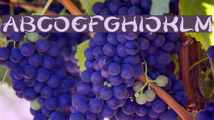 Flower Lover-Light Font examples