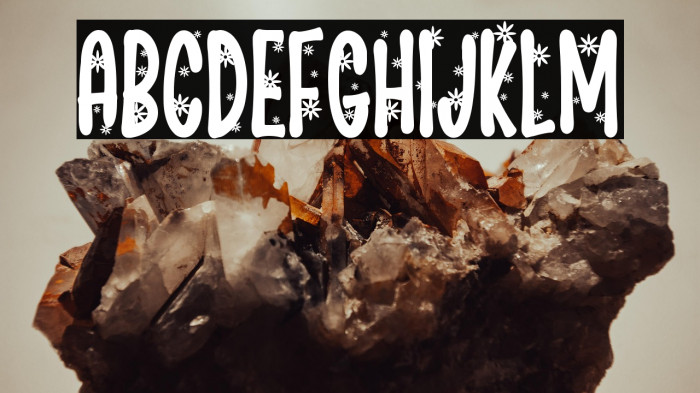 Flower Mager Example 2