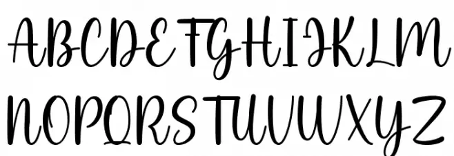 Flower Minimalist Schriftart Groß