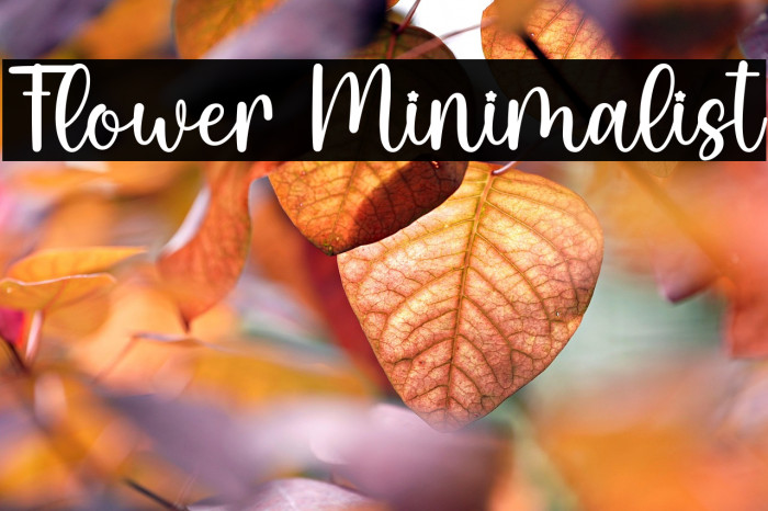 Flower Minimalist Example 1