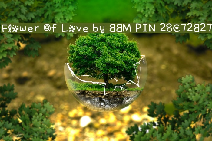 Flower Of Love by BBM PIN 28C72B27 Font examples