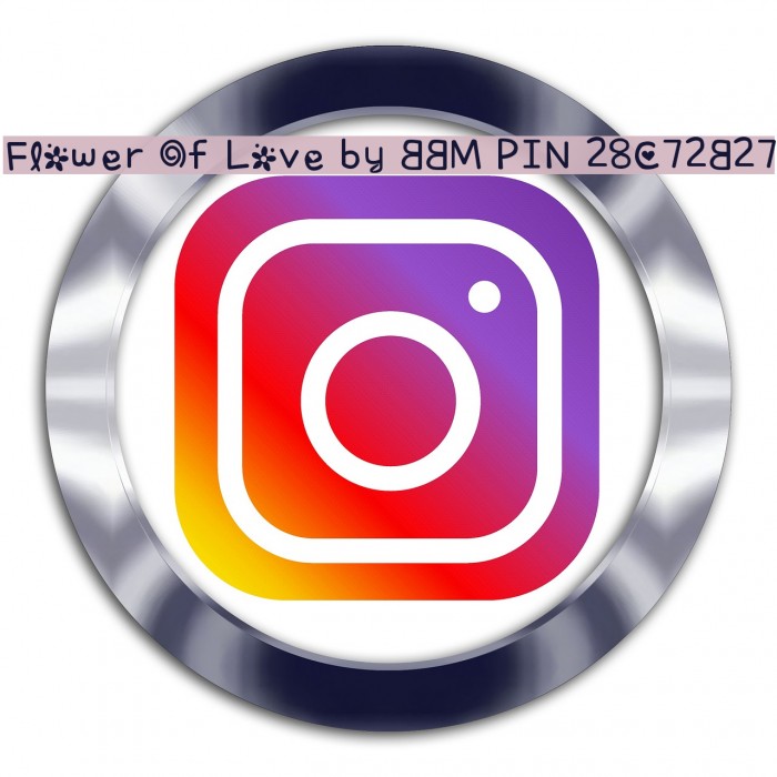 Flower Of Love by BBM PIN 28C72B27 Font examples