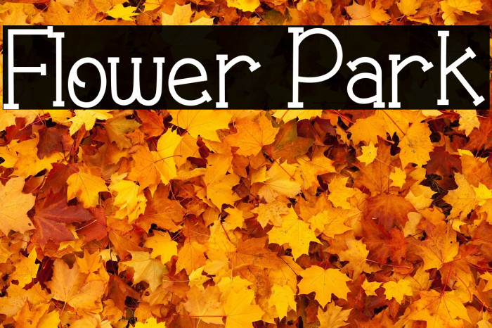 Flower Park Example 2