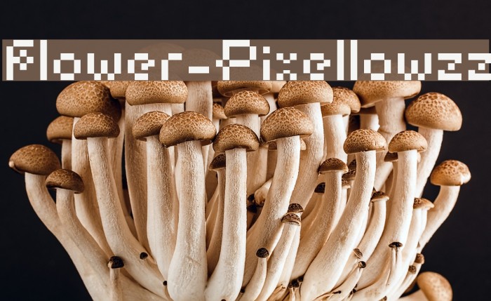 Flower-Pixellowzz Font examples