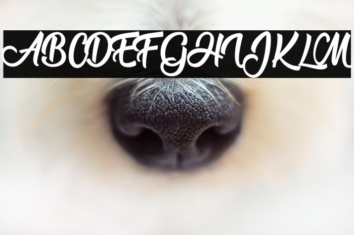 Flower Power Personal Use  Example 3