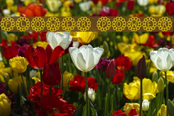 Flower Power Font examples