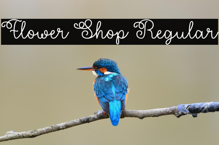 Flower Shop Regular Example 2