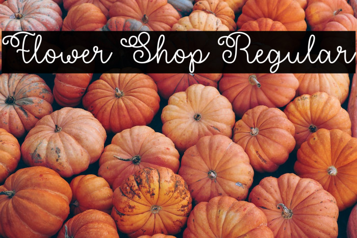 Flower Shop Regular Example 3