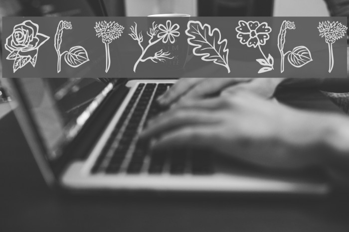 Flower-Show Font examples