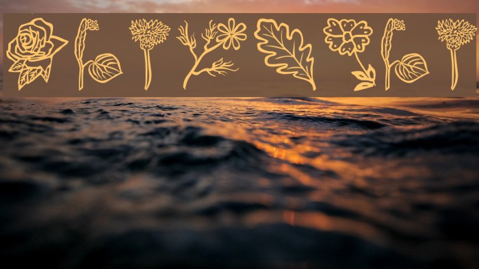 Flower-Show Font examples