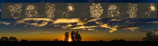 Flower Shower Example 2