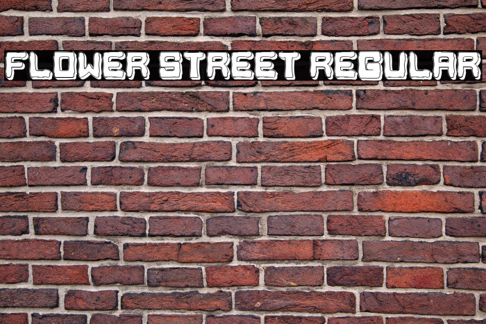 Flower Street Regular Example 3