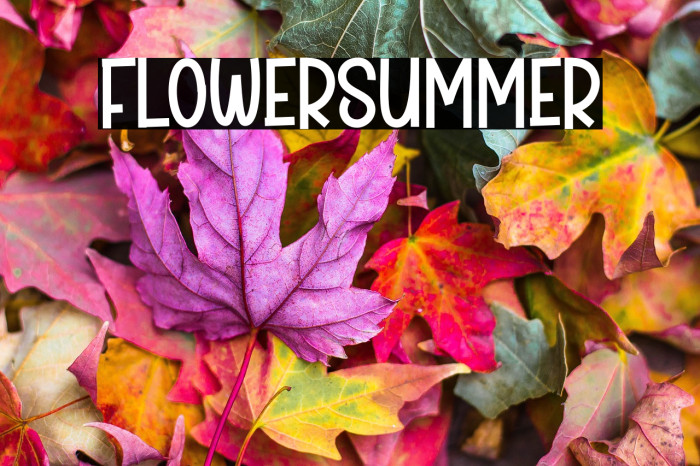 Flower Summer Example 3