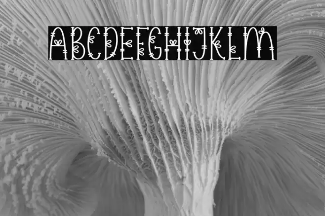 Flower Symbol Font examples