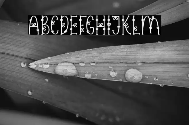 Flower Symbol Font examples