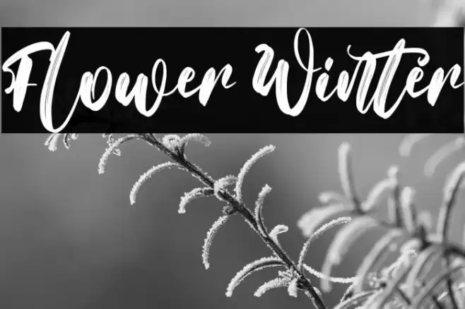 Flower Winter Font examples