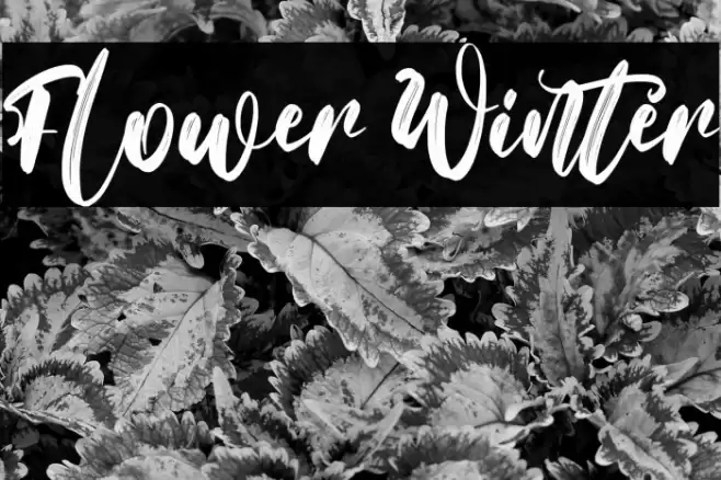 Flower Winter Font examples
