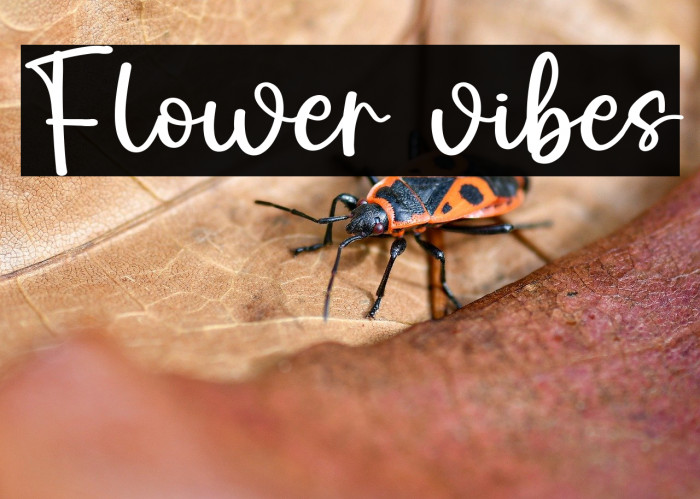 Flower vibes Example 1