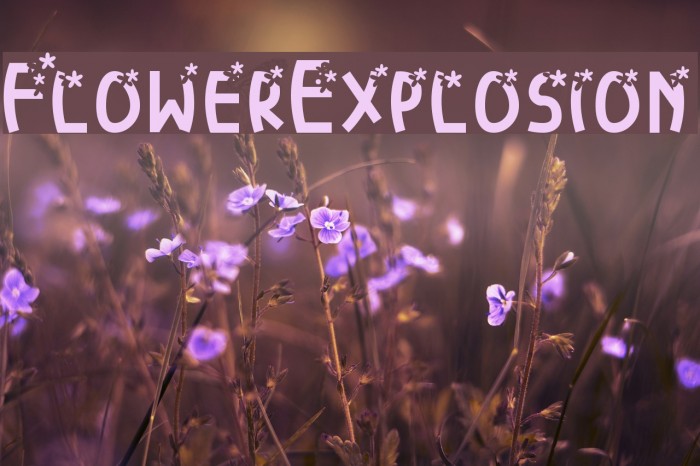 FlowerExplosion Font examples