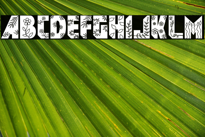 FlowerGarden Example 1