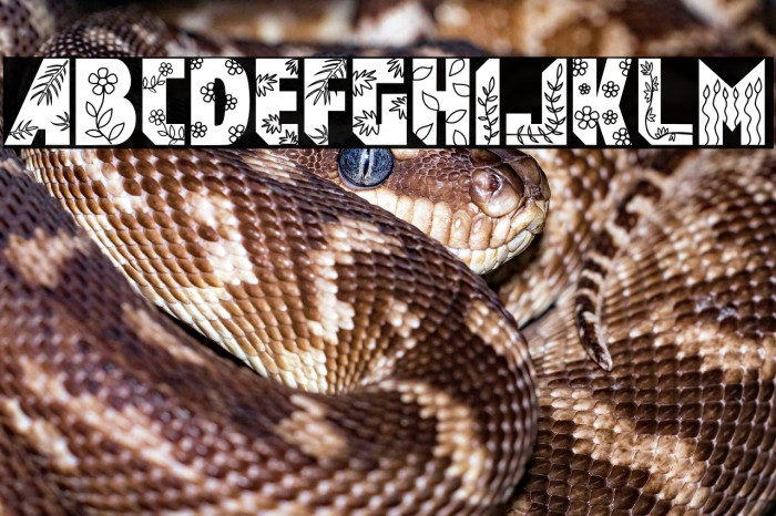 FlowerGarden Example 3