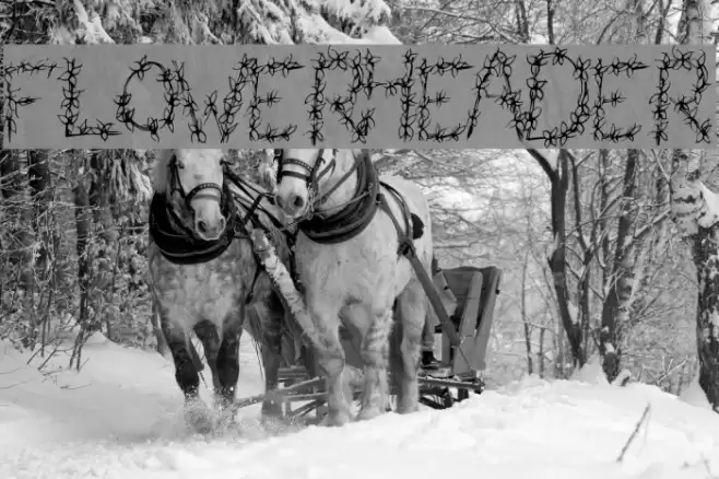 FlowerHeader Font examples