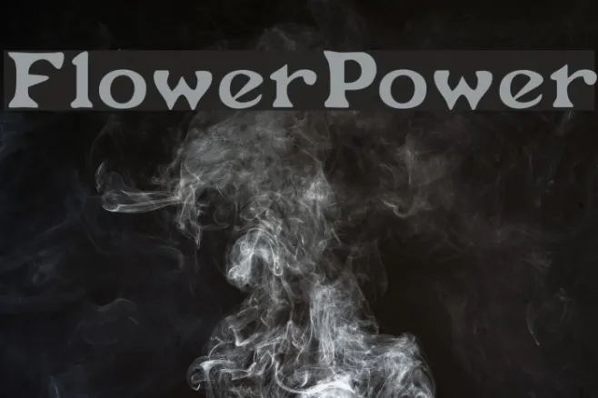 FlowerPower Example 2