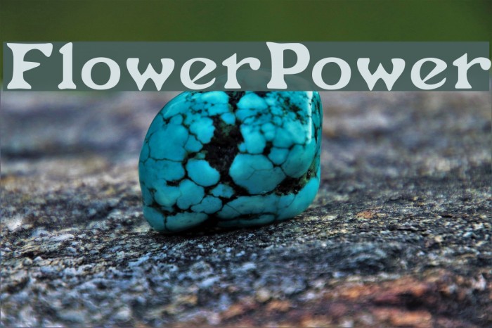 FlowerPower Font examples
