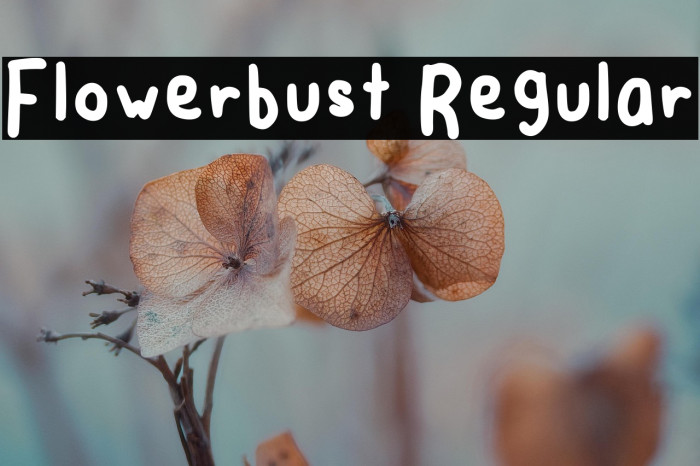 Flowerbust Regular Example 2