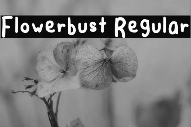 Flowerbust Regular Polices examples