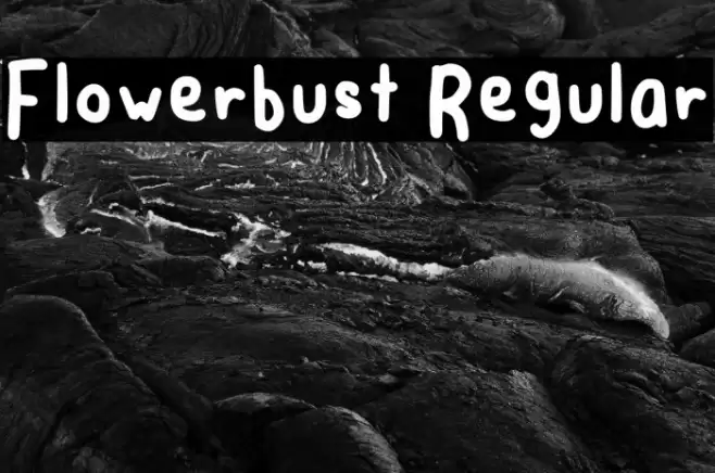 Flowerbust Regular Polices examples