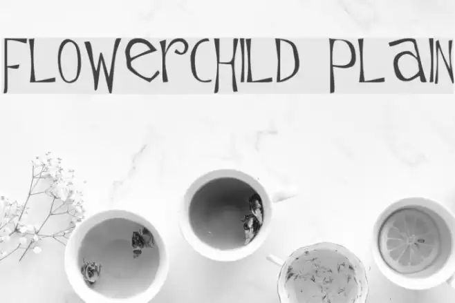 Flowerchild Plain Schriftart examples