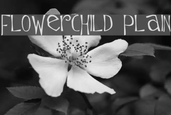 Flowerchild Plain Schriftart examples