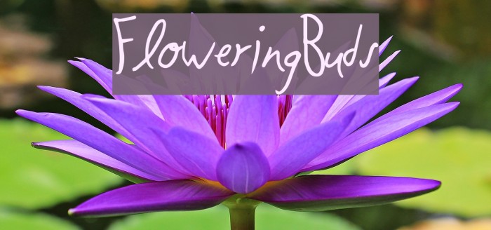FloweringBuds Font examples